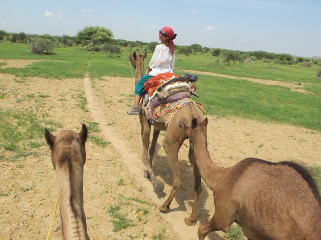 Sevgili devem biraz ilerideki agaç ve çalılıklara dalmadan hemen önce