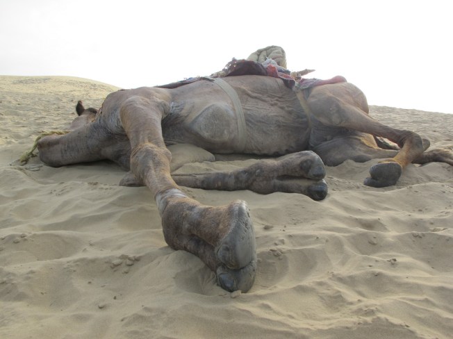 En çok onlar yoruldu bu turda..