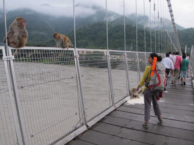 Rishikesh'e varış ve karşılama komitesi