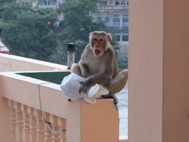 Hırsız komşumuz suç üstü yakalanınca bize bağırmaya başlıyor, hem suçlu hem güçlü :)