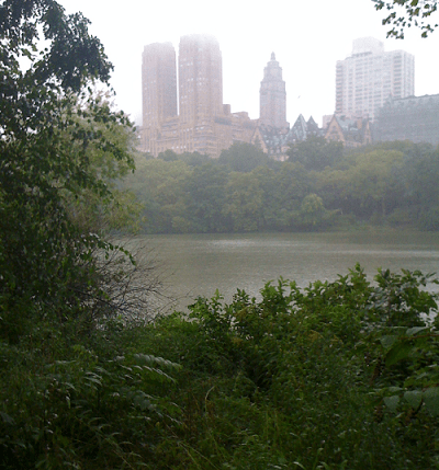 Puslu bir Central Park