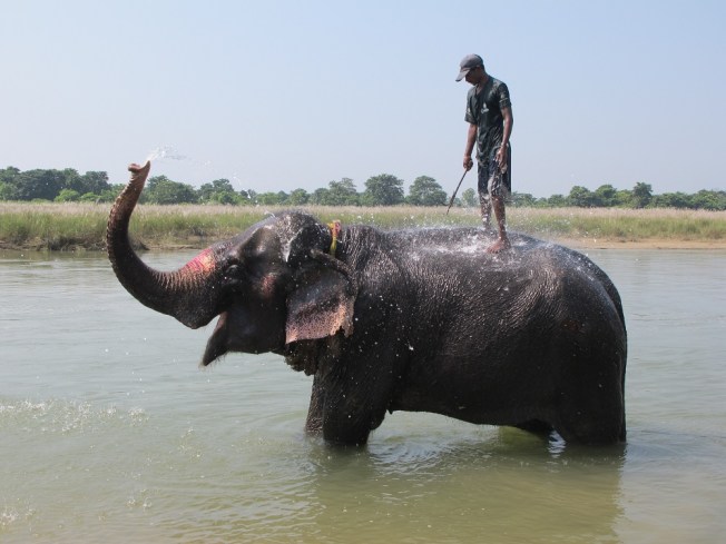 Fillerin gölde banyo keyfi