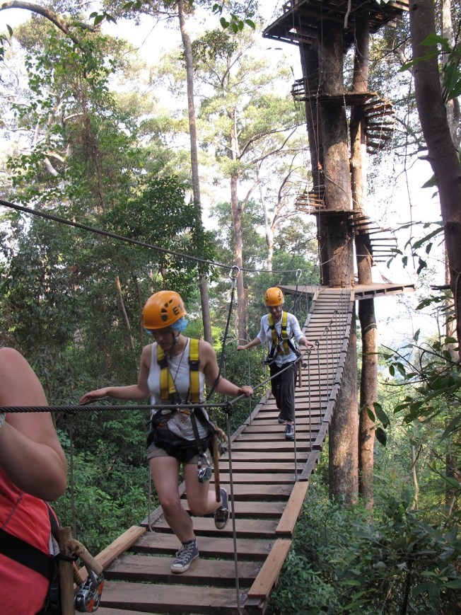 Ağaç platformları arasında yürüyüş Ağaç platformları arasında yürüyüş