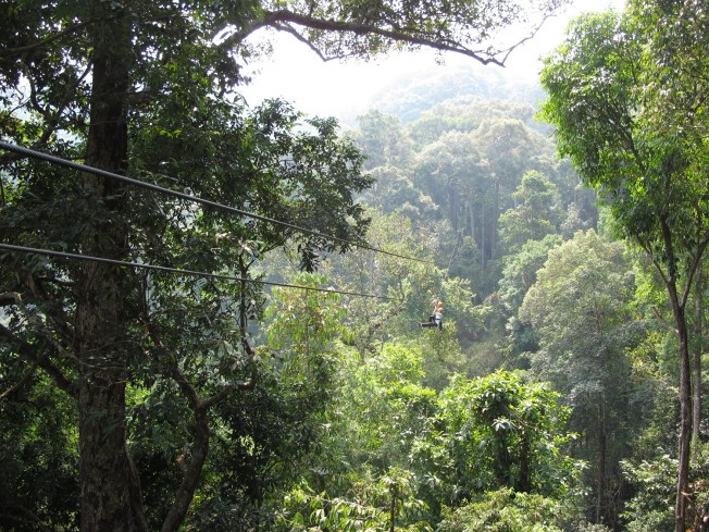 Jungle Flight Jungle Flight