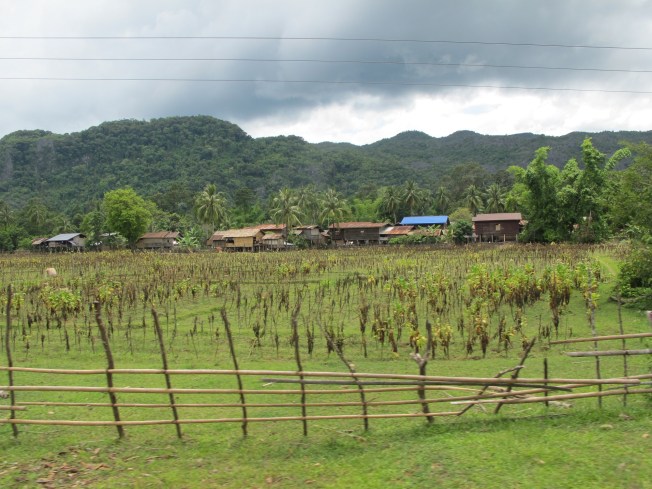 Yolculuklar bazen çok uzun sürse de yol manzaraları harika...