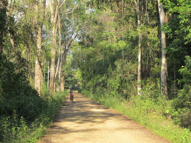 Ada yollarında bisiklet turu
