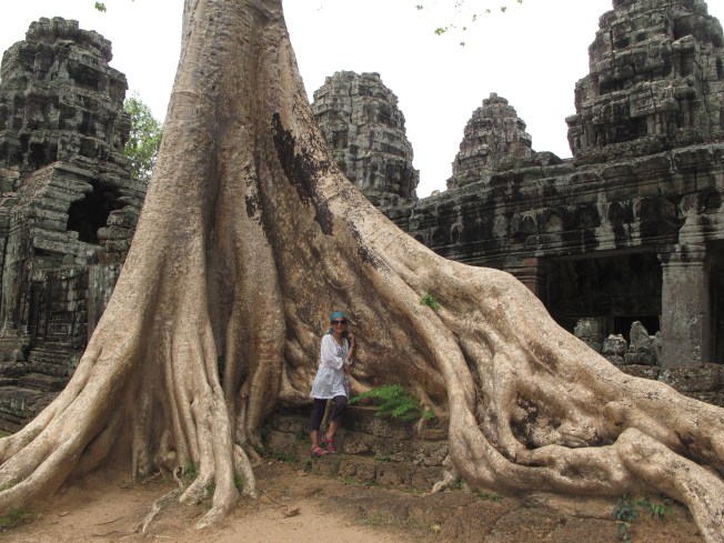 Angkor'un asırlık dev ağaçları Angkor'un asırlık dev ağaçları