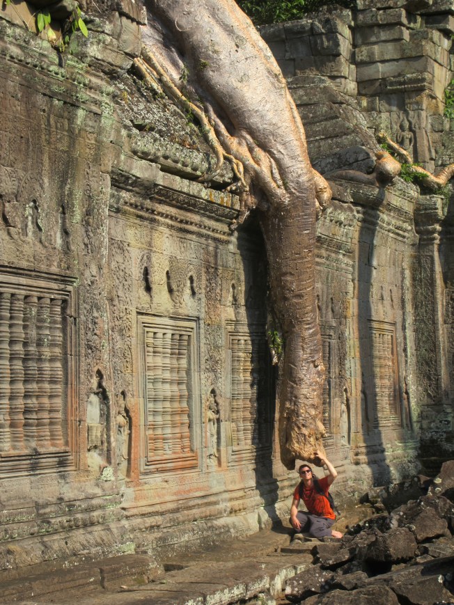 Tapınağı saran dev ağaç kökü Tapınağı saran dev ağaç kökü