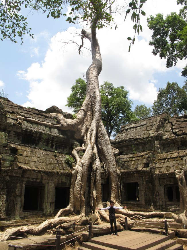 Ta Prohm Tapınağı Ta Prohm Tapınağı