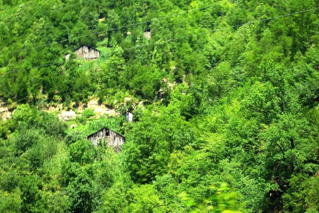 Yolda geçerken sıkça gördüğümüz serenderler