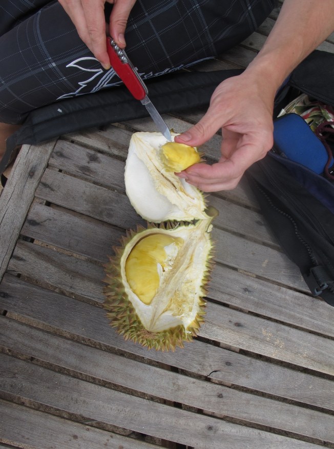 Durian meyvesinin yenilebilir kısımları Durian meyvesinin yenilebilir kısımları