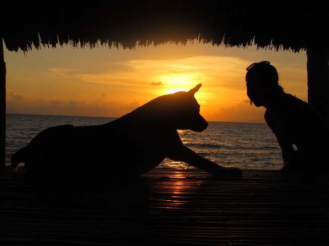 Adanın köpekleriyle günbatımını izlerken Adanın köpekleriyle günbatımını izlerken