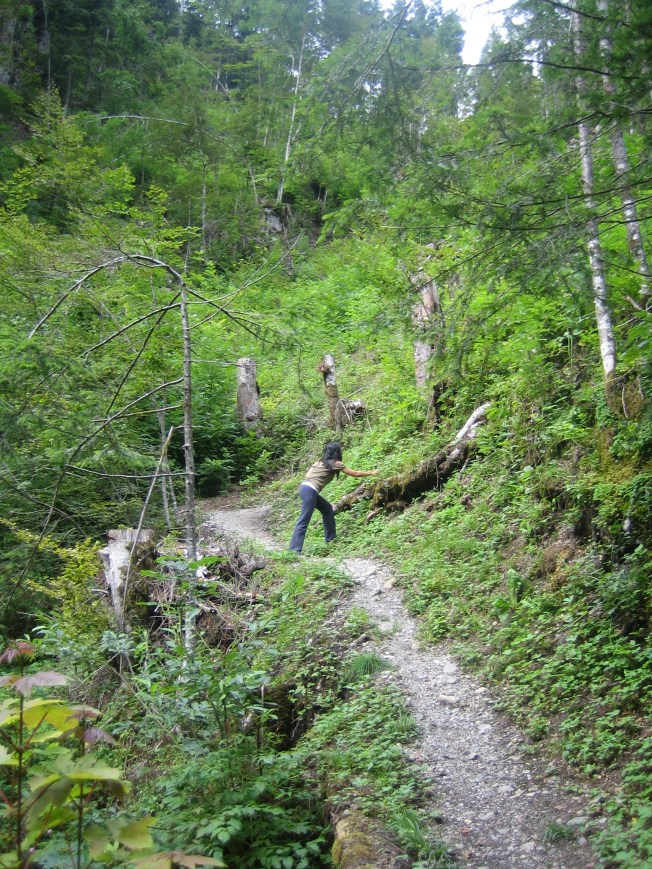 Yaz manzaraları - Dağ çileği toplarken
