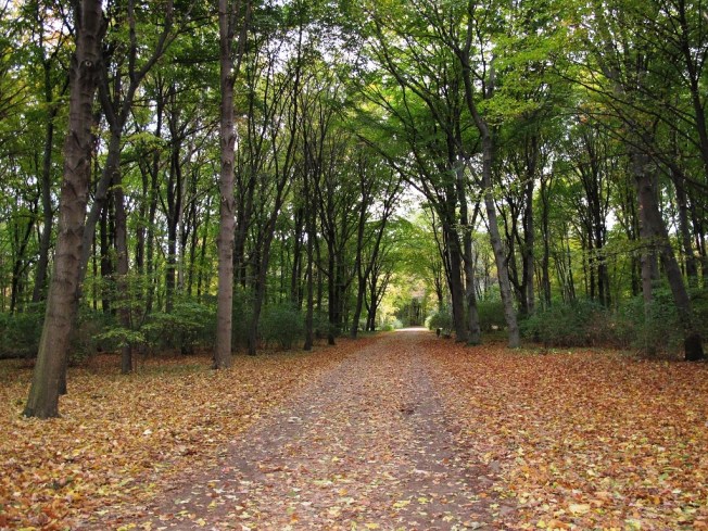 Sevgili koşu parkım...