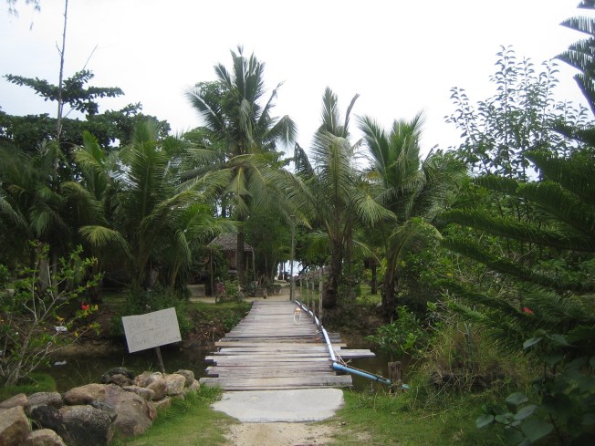 Bungalovuma giden yol