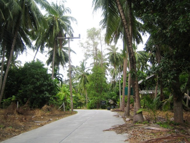 Her sabah geçtiğim Agama Yoga yolları