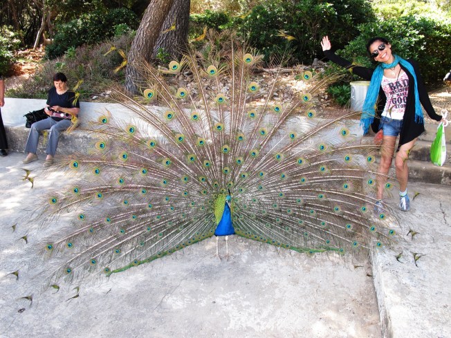 Lokrum Adası sakinleri