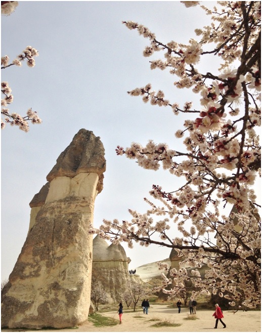 8 Mart 2014 / Evet penise benziyor evet :)