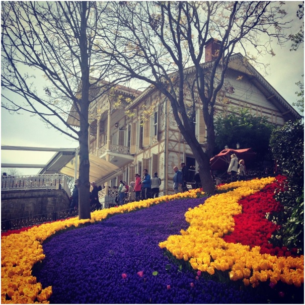 Laleler ve sarı köşk