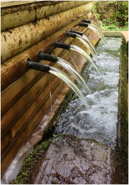 Dilek Yalağı – ay pardon çeşmesi