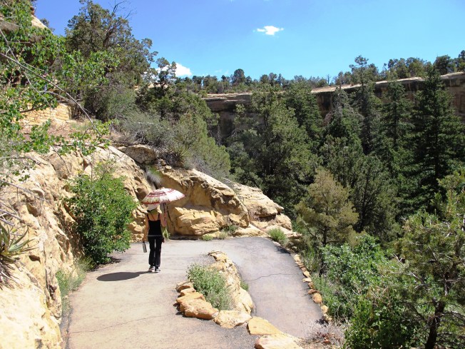 Spruce Tree yürüyüş yolu