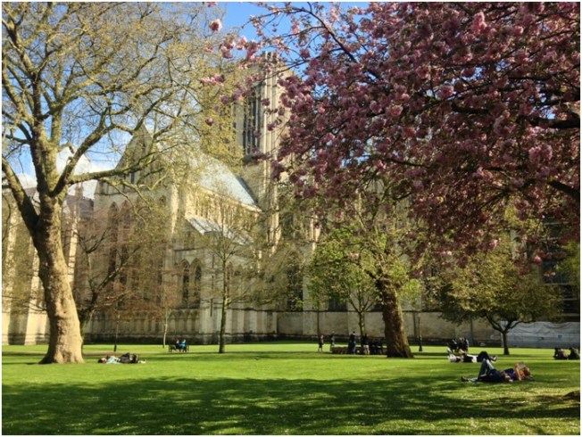 Dean’s Park ve arkada York Minster