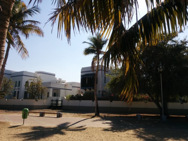 Dantel gibi işlenmiş beyaz badanalı evler 