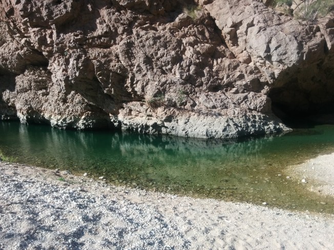 Doğal su havuzları ve şoparan Elvin