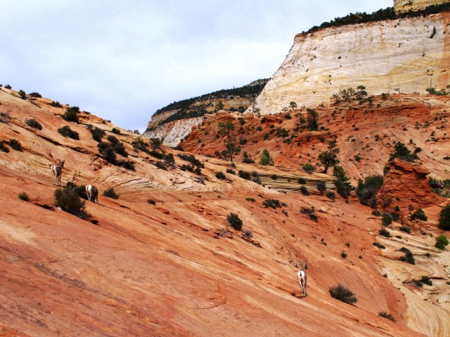 Zion'daki gezimizden ilk gün manzaraları