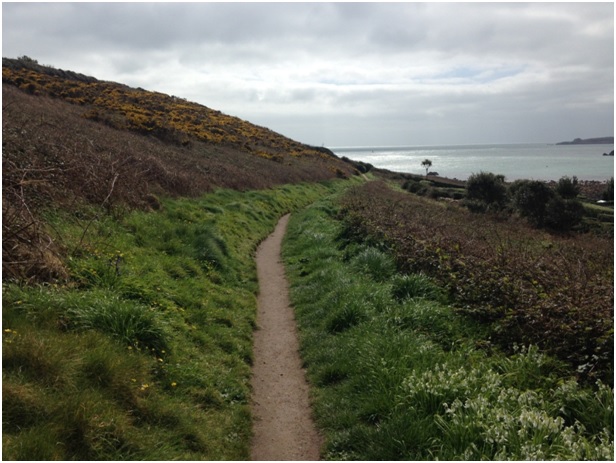 Yürüyüş rotamız genelde bu şekilde daracık bir yoldu, iki kişi yan yana anca yürüyebiliyordu, gerçi güzelliği de bu değil mi?